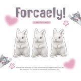FORCAELY OPEN!