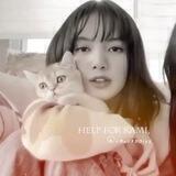:: 昨夜について help for kami.
