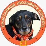 Пристанище "Возьмите собаку"