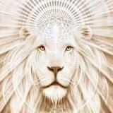 We Are Already Free