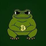 BitcoinPepe Portal