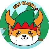 ELF FLOKI - BSC INTERNATIONAL