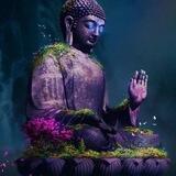 八面佛zm上号组