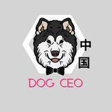 Dog CEO || Protal