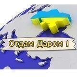 Отдам Даром