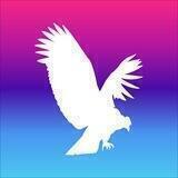 Condor Systems