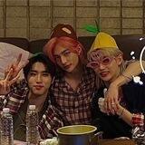 나비 커스