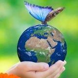 МИР ПРЕКРАСЕН! 🌍 THE WORLD IS WONDERFUL!