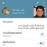 شب زنده ها