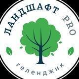 Ландшафт Pro