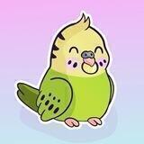 Budget Budgies Portal