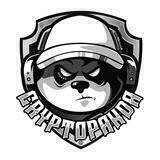 Crypto Panda Announcement