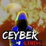 ⚡️ CEYBER GAMING