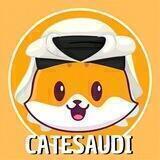 CateSaudi | Portal