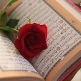 [ ئیسلام وەڵامی ژیانە ]