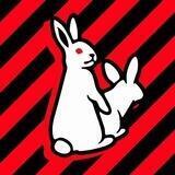 Catch the Bunny | Товары оптом из Китая