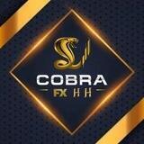 COBRA/FX-HH