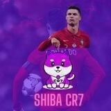 Shiba CR7 x100