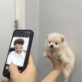Ebi's pfp room