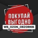 Wb_ozon_obzornik