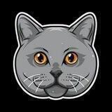 KORAT CAT COIN