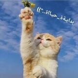 بِدايـةة_حيـااة.."))💙💦