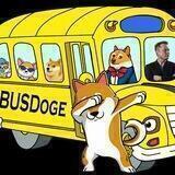 BUSDoge - 😺 Hodl BUSDoge Earn BUSD 🤑