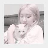 ୨୧ pretty-girl :3 Rosé ! ♥︎