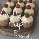 LPM CUPCAKE