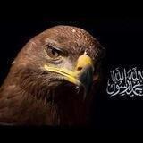 فى سبيل الله نمضى 💚
