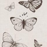 لــِ صـفـاء🌸.