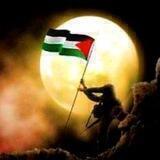 قناة اللواء