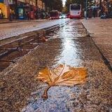 مطر 🌧