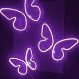 𝙉𝙞𝙜𝙝𝙩 𝙗𝙪𝙩𝙩𝙚𝙧𝙛𝙡𝙮 🦋