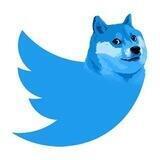 Twitter Coin 民间散户社区（Chinese）