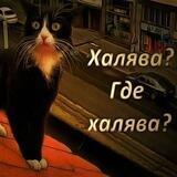 Москва👌Халява😎