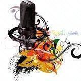 صدى الثورة