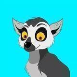 LEMUR TON