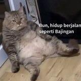 kip
