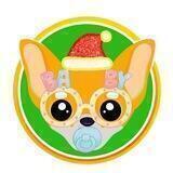 BabyChiHuaHua Shilling
