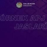 Órnek APJ jasları