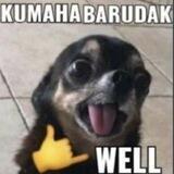 wkwkwkwkwkwkwk ngab