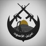 مجاهد