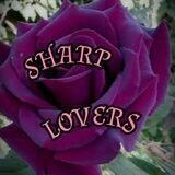 SHARP LOVERS🥀