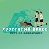 Хвостатый кросс: клуб по каникроссу cross_of_tails