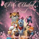 PETS UNITED RENT ORDAL💥
