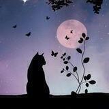 catim