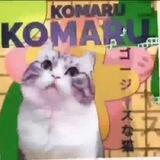 Komaru Everyday 🌞