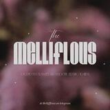 Melliflous Ent.