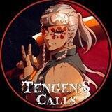 TengenCallsPortal